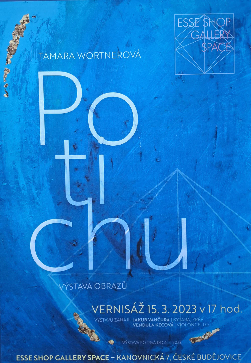 Potichu